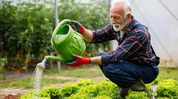 Gardening