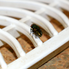 Article image for: Keep your home clean and dry