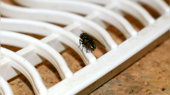 Keep your home clean and dry