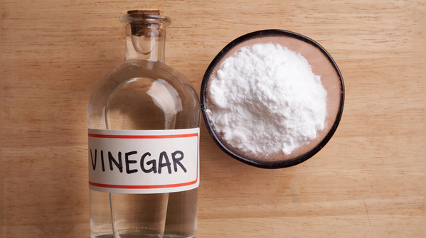 Try a vinegar and dish soap trap