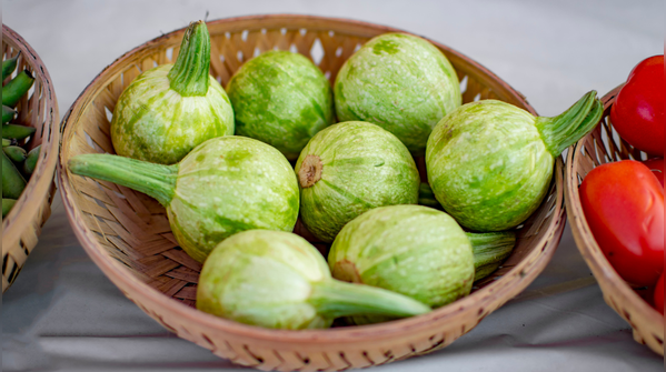 Tinda