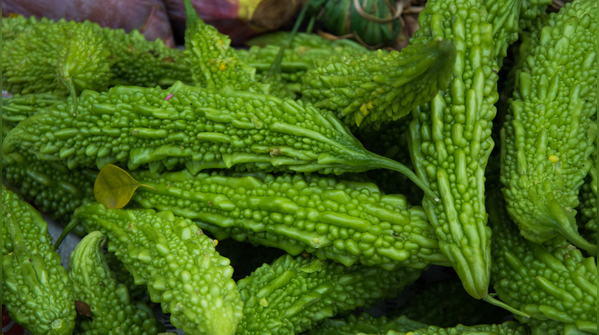 Bitter gourd