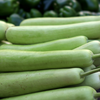 Article image for: Bottle gourd