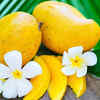 Himsagar Mango