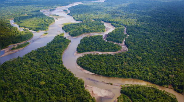 Amazon River – the river that remains wild