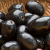 Article image for: <i class="tbold">Jamun</i>