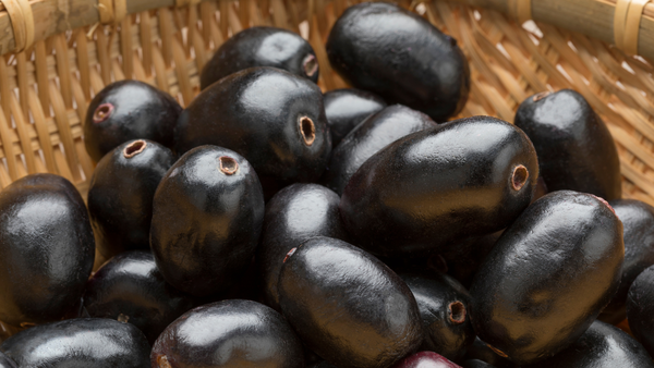 Jamun Photos