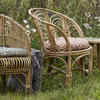 Bamboo/cane furniture helped in lowering temperatures