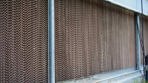 Khus screens cooling air naturally