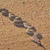 Loose sand complicates ordinary slithering