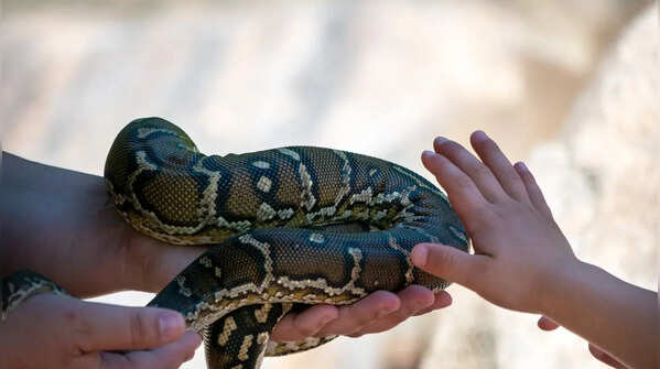 Calcutta Snake Park, West Bengal