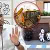Article image for: KMC Issues Notices To 17 Properties Linked To Abhishek<i class="tbold"> banerjee</i> In Building Violation Probe