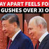 Article image for: ‘One Day Feels Like 3 Autumns…’: Putin-Xi Chemistry On Display After Trump’s Beijing Visit