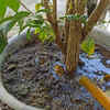 Poor drainage can trap dangerous excess moisture