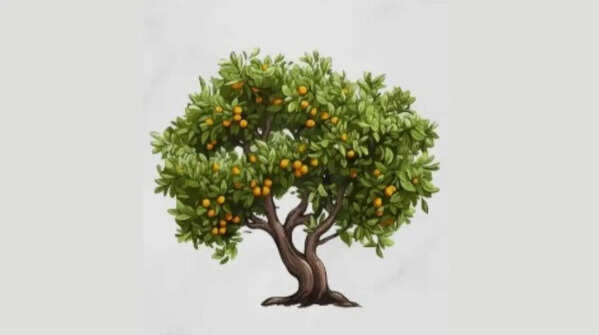 The fruit‑bearing tree