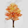 The autumn tree
