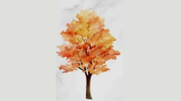 The autumn tree