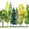The three trees and what they reveal