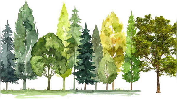 The three trees and what they reveal