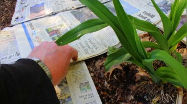 Newspapers reduce water evaporation