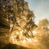 Morning affirmations create a sense of intentional living