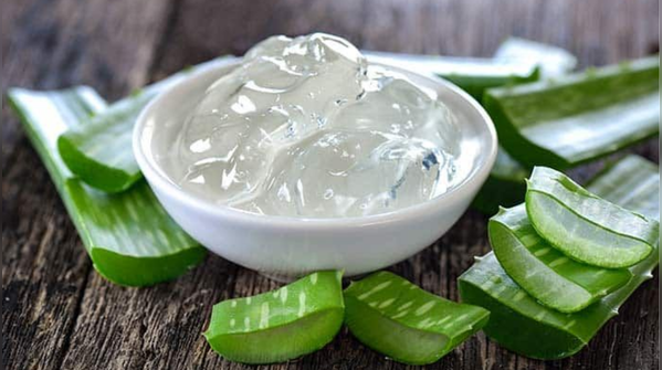 The Overnight Healer: Fresh Aloe Vera Gel