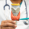 Article image for: How does our diet affect thyroid health?