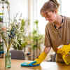 Dusting and cleaning tools