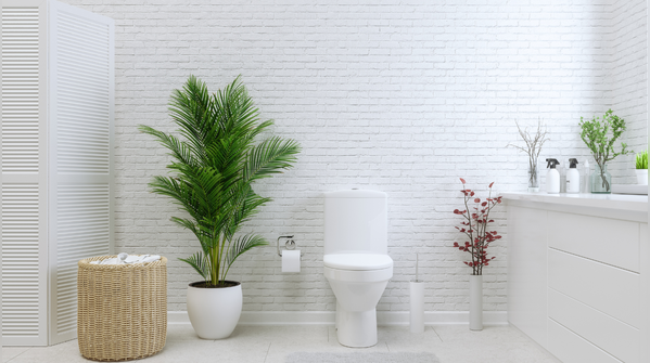 The body was never designed for “toilet lounging”