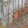 Article image for: Srinagar in Pauri Garhwal records 390 AQI as wildfires, vehicles foul air