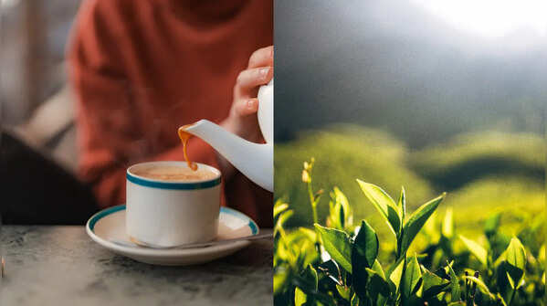 How to use tea leaves in daily cooking