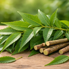 Neem: The Ultimate Breakout Buster