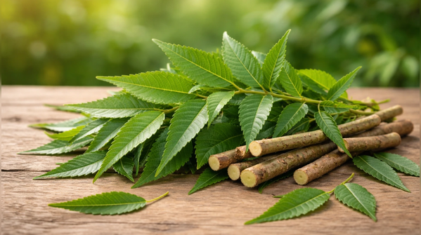 Neem: The Ultimate Breakout Buster