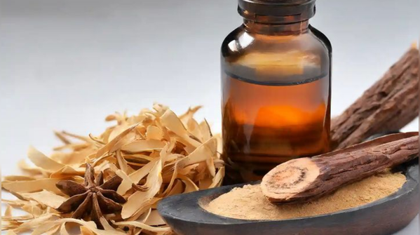 Sandalwood and the "Quiet Luxury" Boom