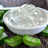 Aloe Vera: The Ultimate Team Player