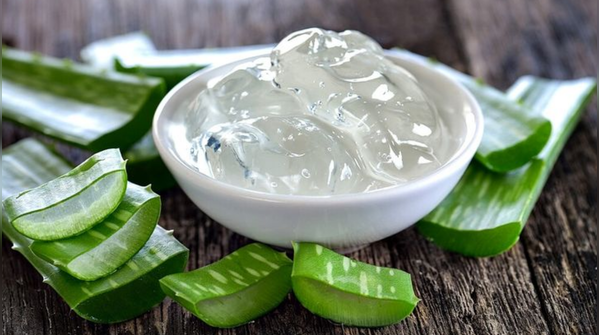 Aloe Vera: The Ultimate Team Player
