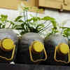 The practice promotes environmentally friendly activities