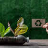 Recycling helps reduce costs of gardening