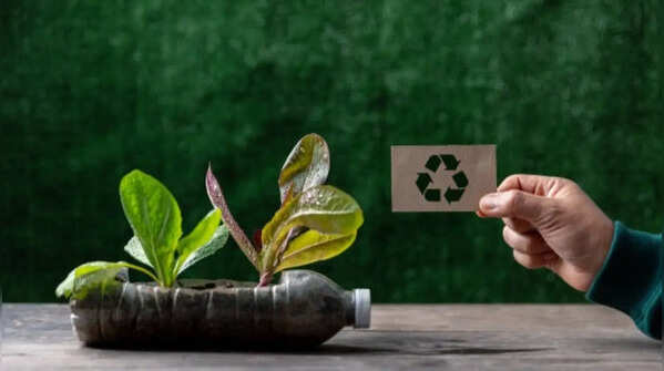 Recycling helps reduce costs of gardening