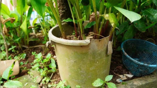 Repurposing cracked plastic tubs and boxes