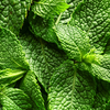 Herbs