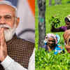 Article image for: What made PM Modi thank Indian tea garden workers?