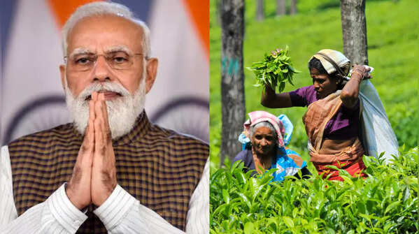 What made PM Modi thank Indian tea garden workers?