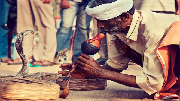 The Sapera Community of North India