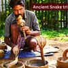 Article image for: From Sapera to Irulas: Famous snake tribes of India and why they fascinate travellers from the world over