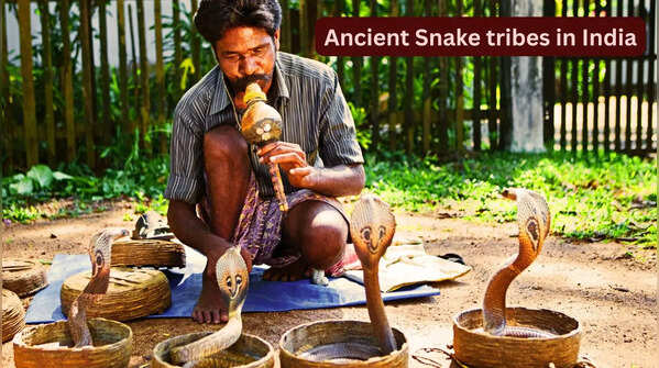 From Sapera to Irulas: Famous snake tribes of India and why they fascinate travellers from the world over