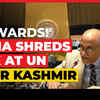 Article image for: 'The World Can See Through Pakistan's Propaganda': India Tears Into Munir, Sharif At UN Over Kashmir
