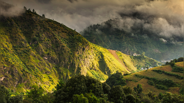 Damro, Arunachal Pradesh