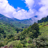 Coonoor, Tamil Nadu