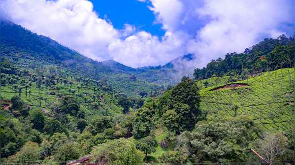 Coonoor, Tamil Nadu